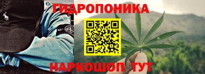 ешки Будённовск