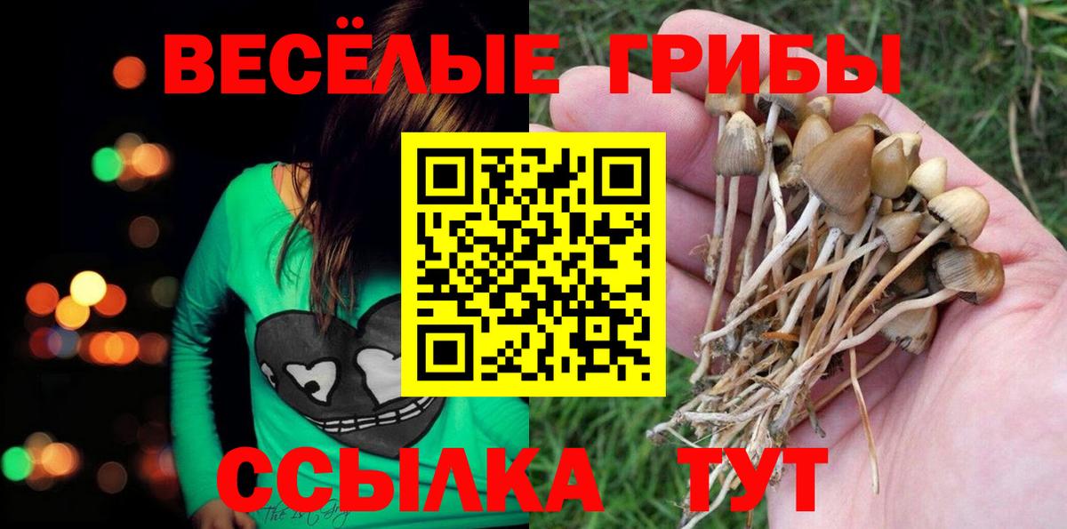 Псилоцибиновые грибы мухоморы Сертолово