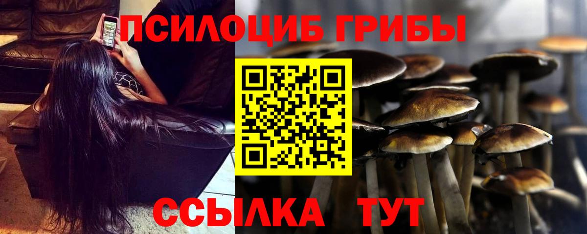 Сертолово  Галлюциногенные грибы Cubensis  Вход с VPN 